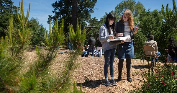 How Phones Make Field Trips Even More Fun