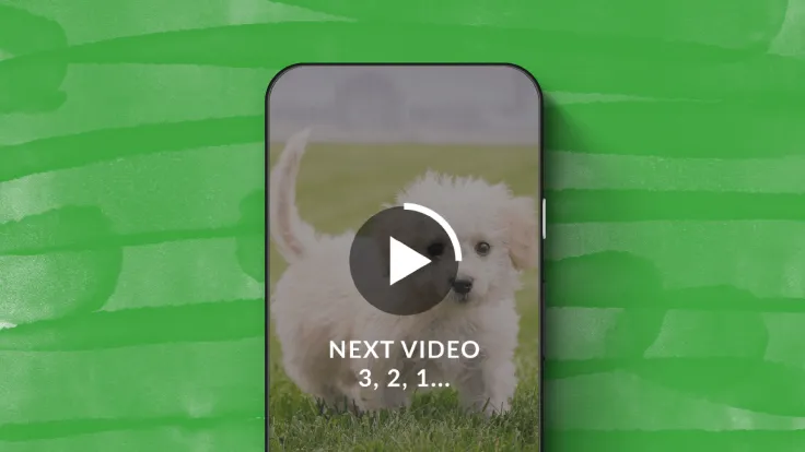 A phone with an autoplay button loading and counting down (3, 2, 1...) with a puppy video in the background.