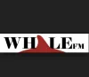 Padlet logo of a paper crane on a black background.